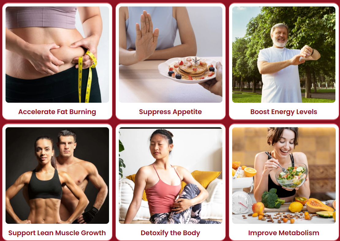 Alkatide benefits overview - fat burning, appetite control, energy and metabolism